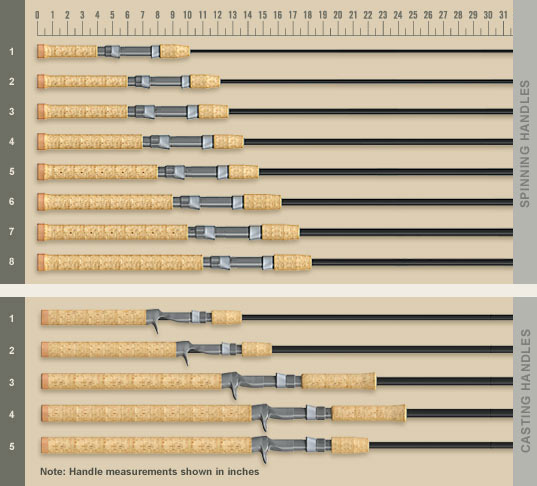 triumphFW_handles[1]